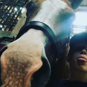 Meet your Posher, Olivia